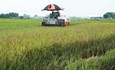 Việt Nam hướng tới phát triển Nông nghiệp xanh, bền vững từ chuyển đổi số