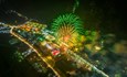 Tới Tây Ninh cuối tuần này để dâng đăng, ngắm pháo hoa, xem trình diễn nghệ thuật với công nghệ 3D mapping