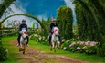 Du khách tới Sa Pa hào hứng cổ vũ cho những chú ngựa ‘tung vó đạp mây’