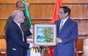 Thủ tướng Phạm Minh Chính tiếp Lãnh đạo Hội Hữu nghị Brazil-Việt Nam