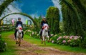 Du khách tới Sa Pa hào hứng cổ vũ cho những chú ngựa ‘tung vó đạp mây’