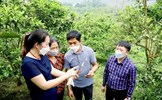 Kế hoạch chuyển đổi số trong quản lý và tổ chức Chương trình MTQG trên địa bàn tỉnh Hà Giang