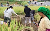 MTTQ tỉnh Bình Phước giám sát Chương trình giảm 1.000 hộ nghèo đồng bào DTTS 