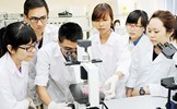 Thu hút, tập hợp đội ngũ trí thức người Việt Nam ở nước ngoài trong lĩnh vực khoa học công nghệ 