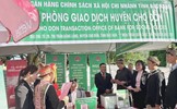 Đẩy nhanh tiến độ triển khai chính sách tín dụng ưu đãi thực hiện Dự án 1 Chương trình mục tiêu quốc gia