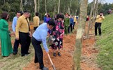 Lễ phát động “Tết trồng cây nhớ ơn Bác Hồ” tại Đền Chung Sơn: Gieo mầm xanh, gặt hy vọng