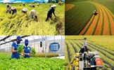 Nâng cao năng lực cạnh tranh nông sản, tạo đà phát triển nông nghiệp, nông thôn Việt Nam trong nền kinh tế thị trường định hướng xã hội chủ nghĩa