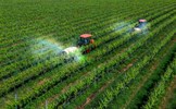 Phát triển nông nghiệp Việt Nam: Chuyển dịch từ “lấy công làm lãi” sang kinh tế nông nghiệp